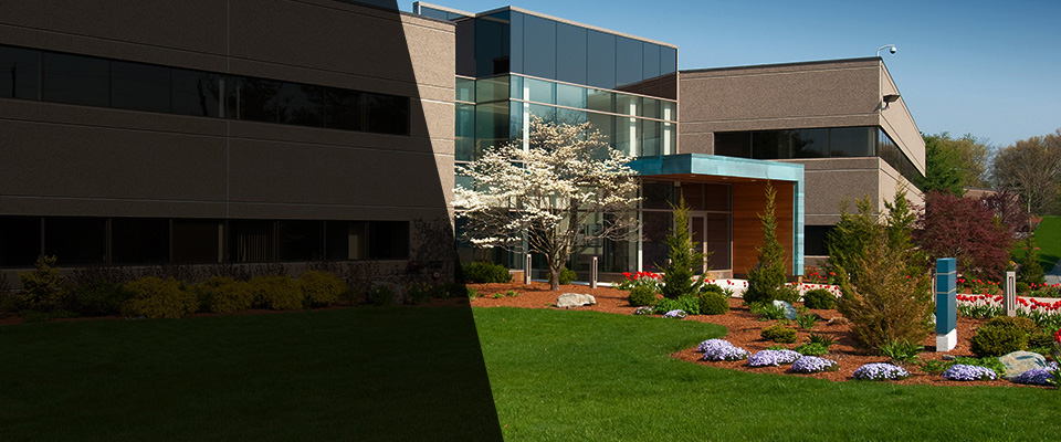 Longwood Landscapers