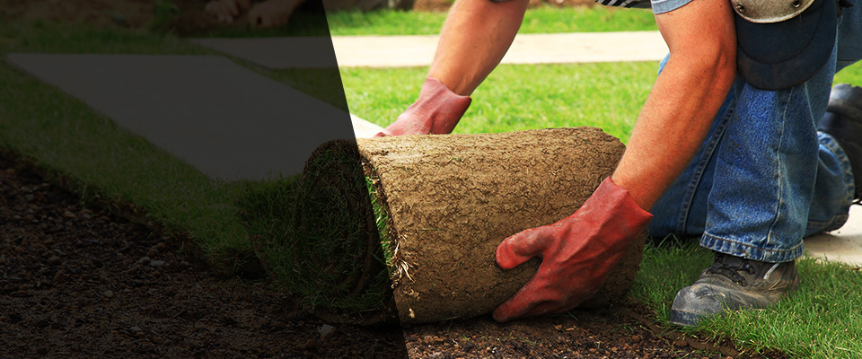 Longwood Landscapers